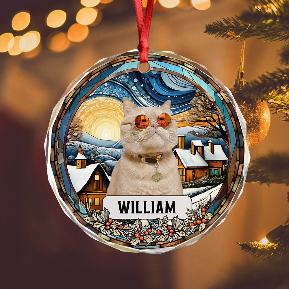 Custom Photo and Name Christmas Cat Circle Glass Ornament HA75 897244