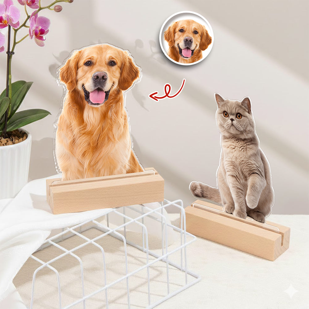 Custom Dog Cat Photo Acrylic Statuette, Gift for Pet Lovers HO82 901138