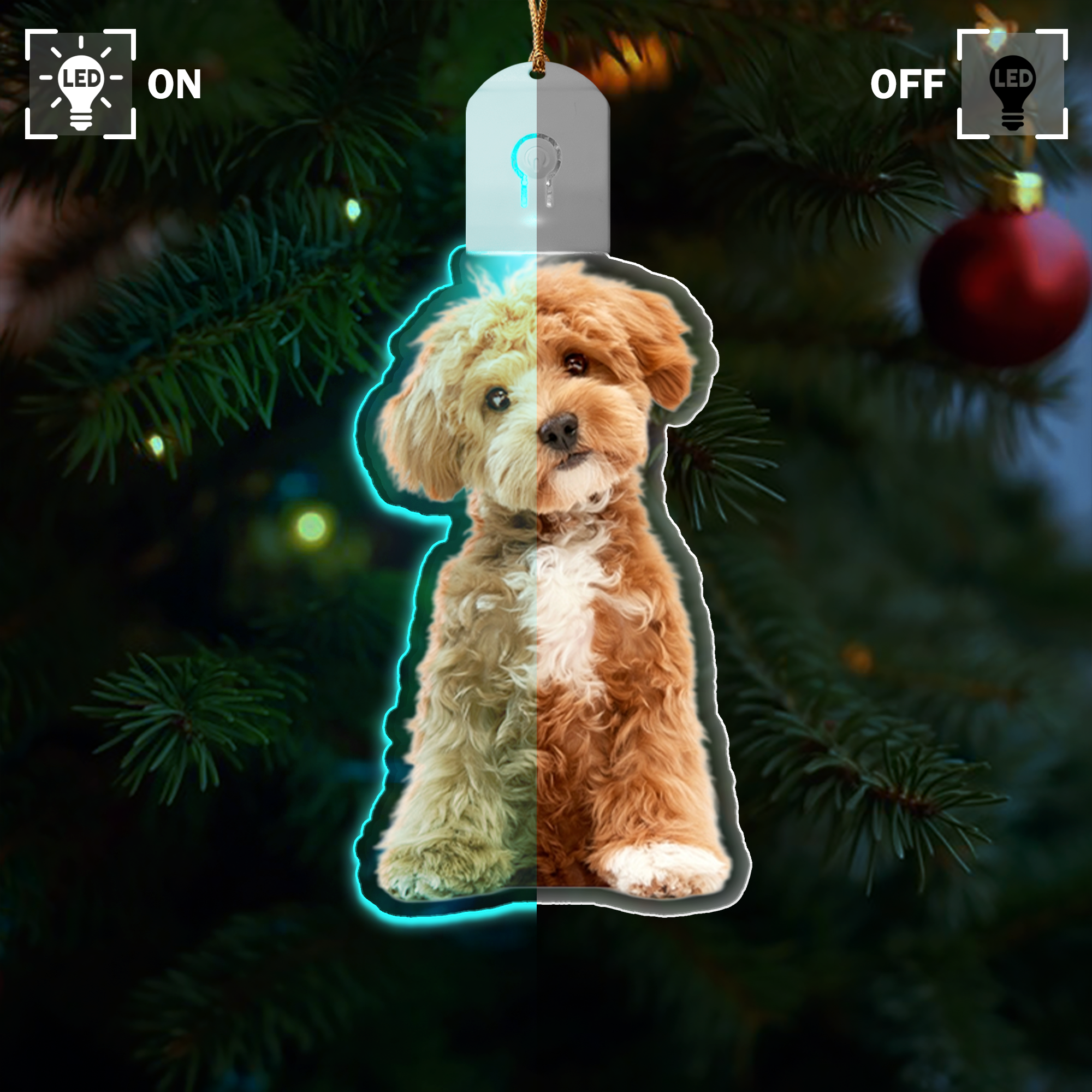 Custom Dog Photo Led Acrylic Ornament N304 HA75 891680