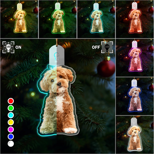 Custom Dog Photo Led Acrylic Ornament N304 HA75 891680