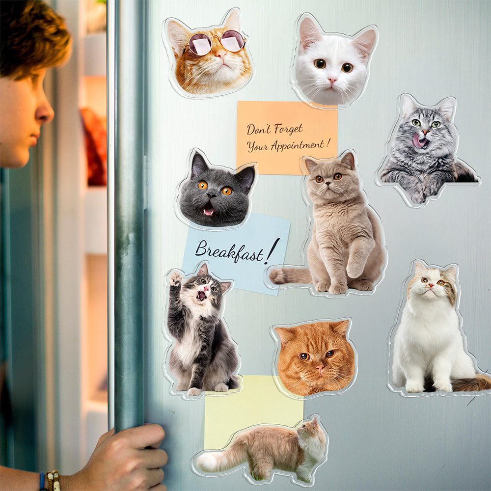 Custom Photo Cat Pet Personalized Acrylic Fridge Magnet For Cat Lovers HA75 897908