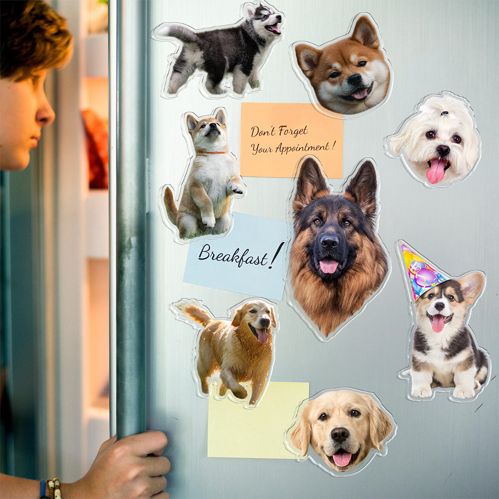 Custom Photo Dog Pet Personalized Acrylic Fridge Magnet For Dog Lovers HA75 897906