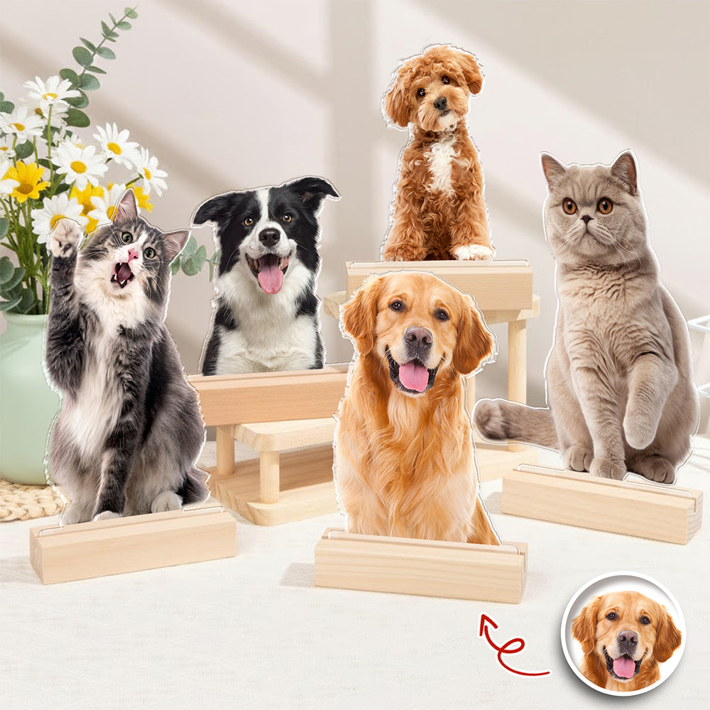 Custom Dog Cat Photo Acrylic Statuette, Gift for Pet Lovers HO82 901138