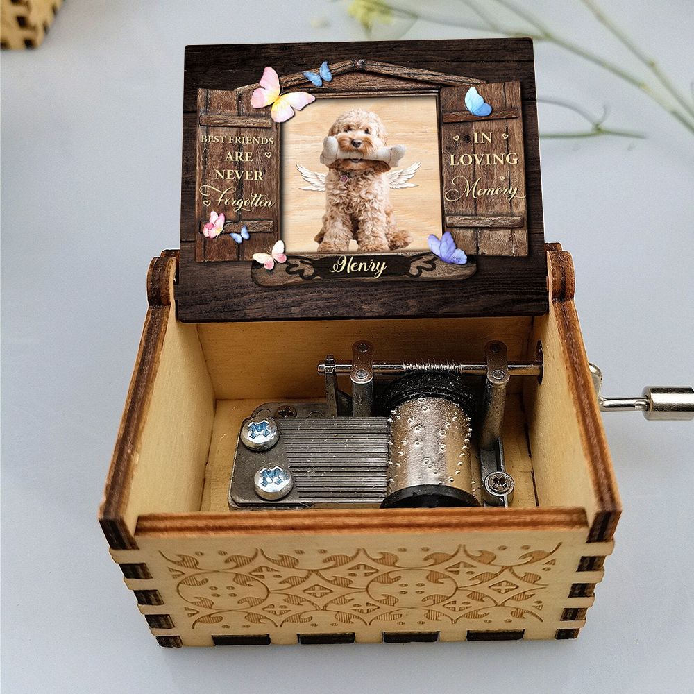 Custom Photo Best Friends Are Never Forgotten Dog Memorial Music Box LM32 893201