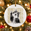 Personalized Vintage Dog Cat Photo Merry Christmas Ceramic Ornament HA75 919280