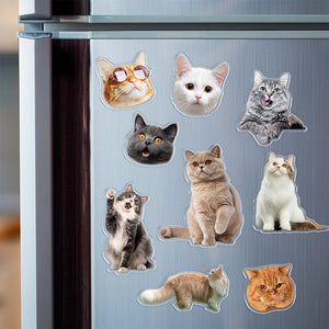 Custom Photo Cat Pet Personalized Acrylic Fridge Magnet For Cat Lovers HA75 897908