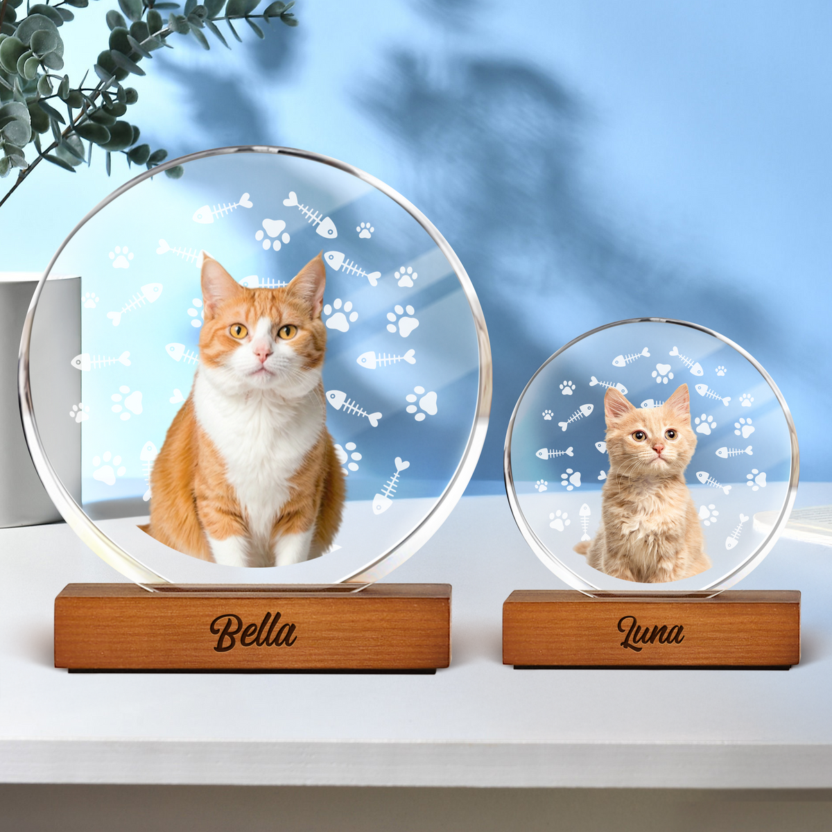 Custom Cat Photo With Bone For Cat Lover Round Acrylic Frame Block TH10 894067