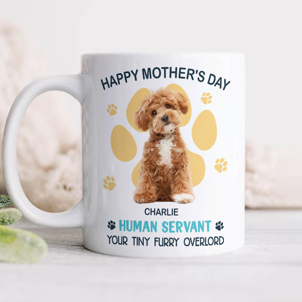 Custom Photo Good Morning Human Servant Personalized White Mug Funny Gift For Dog Cat Lover CH07 895992