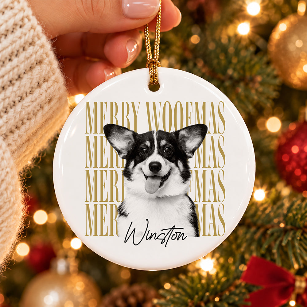 Personalized Vintage Dog Cat Photo Merry Christmas Ceramic Ornament HA75 919280