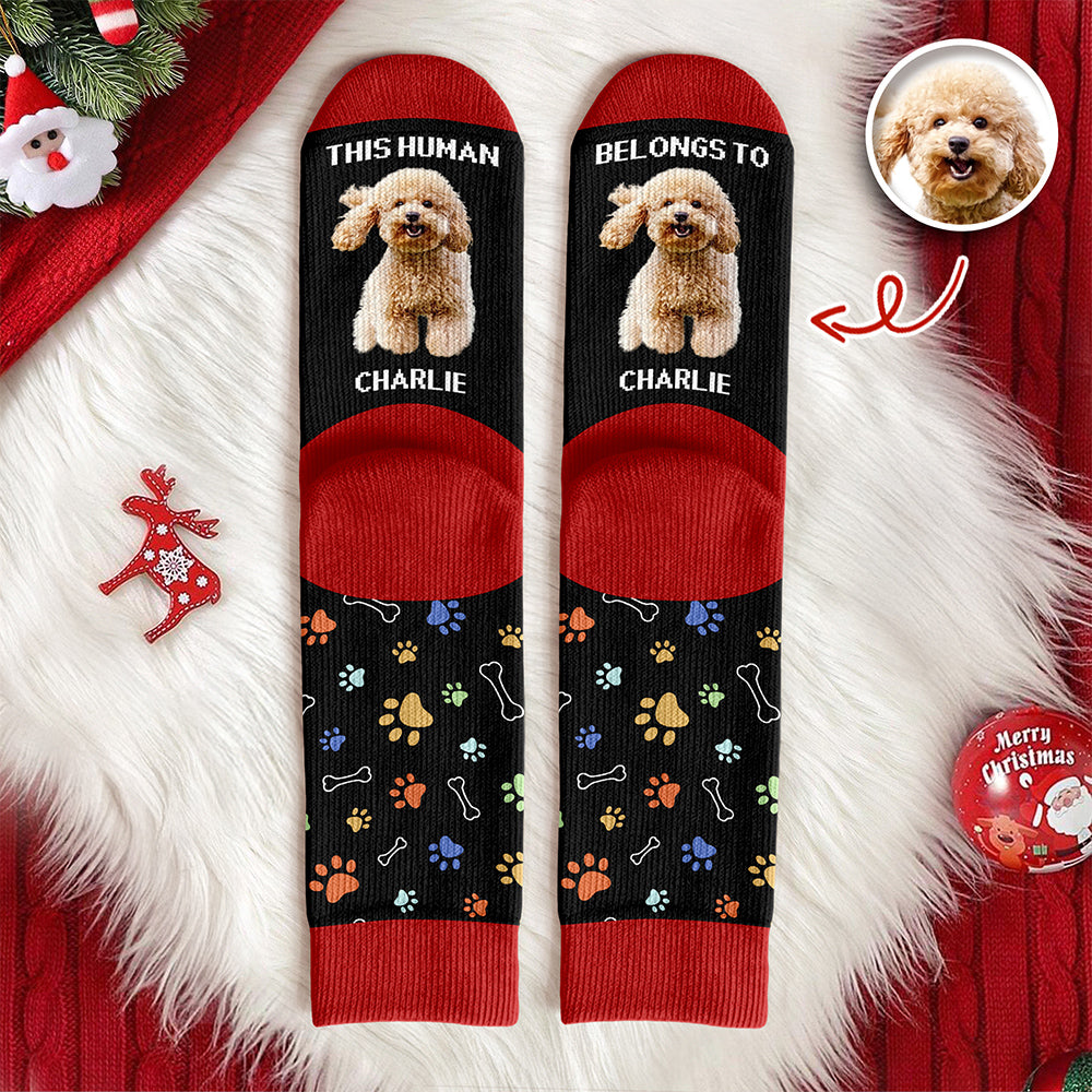 Custom Photo This Human Belongs To Dog Cat Crew Socks HA75 897616