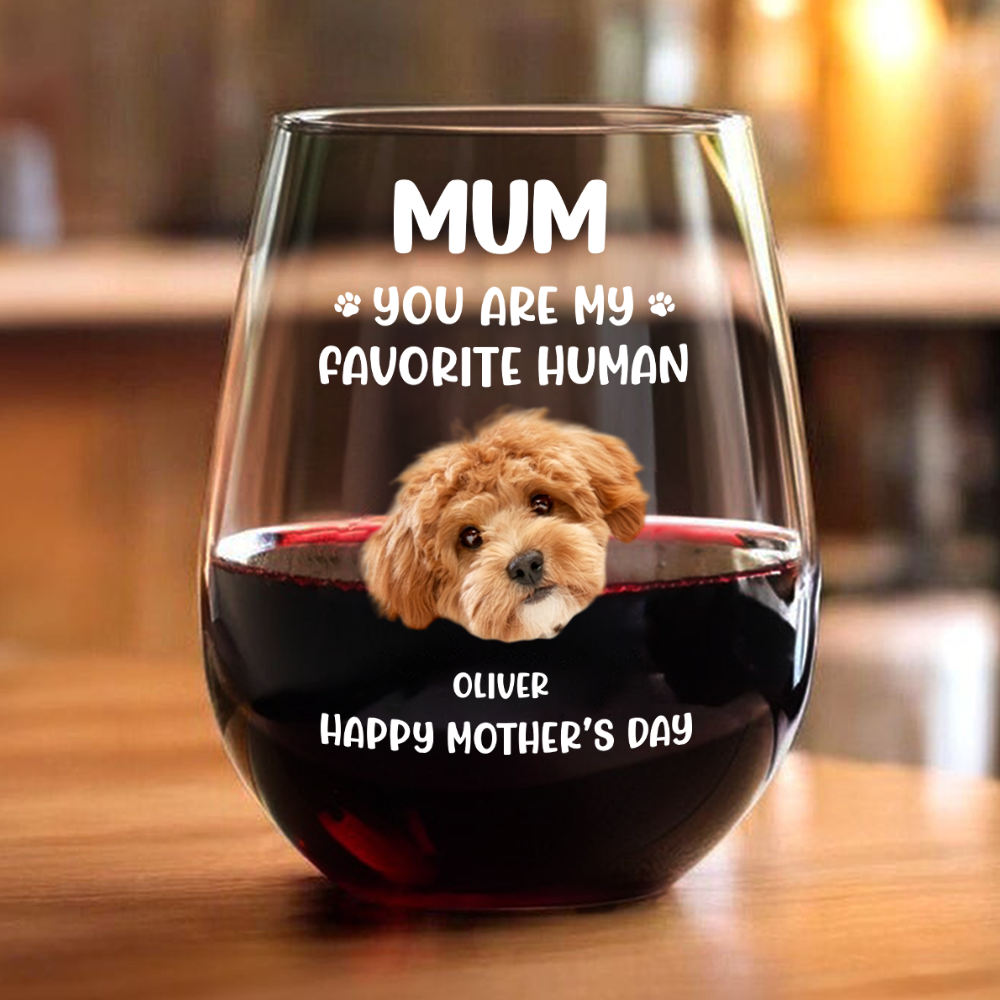 Custom Funny Face Dog Cat - Mom, You’re My Favorite Human Wine Glass HA75 892182