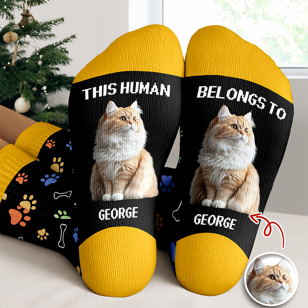 Custom Photo This Human Belongs To Dog Cat Crew Socks HA75 897616