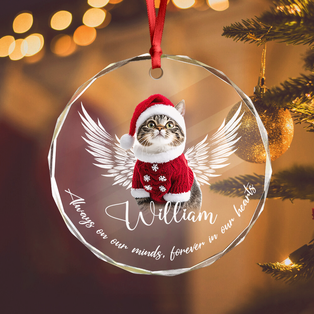 Custom Photo Not A Day Goes By Memorial Cat Glass Ornament HA75 897252