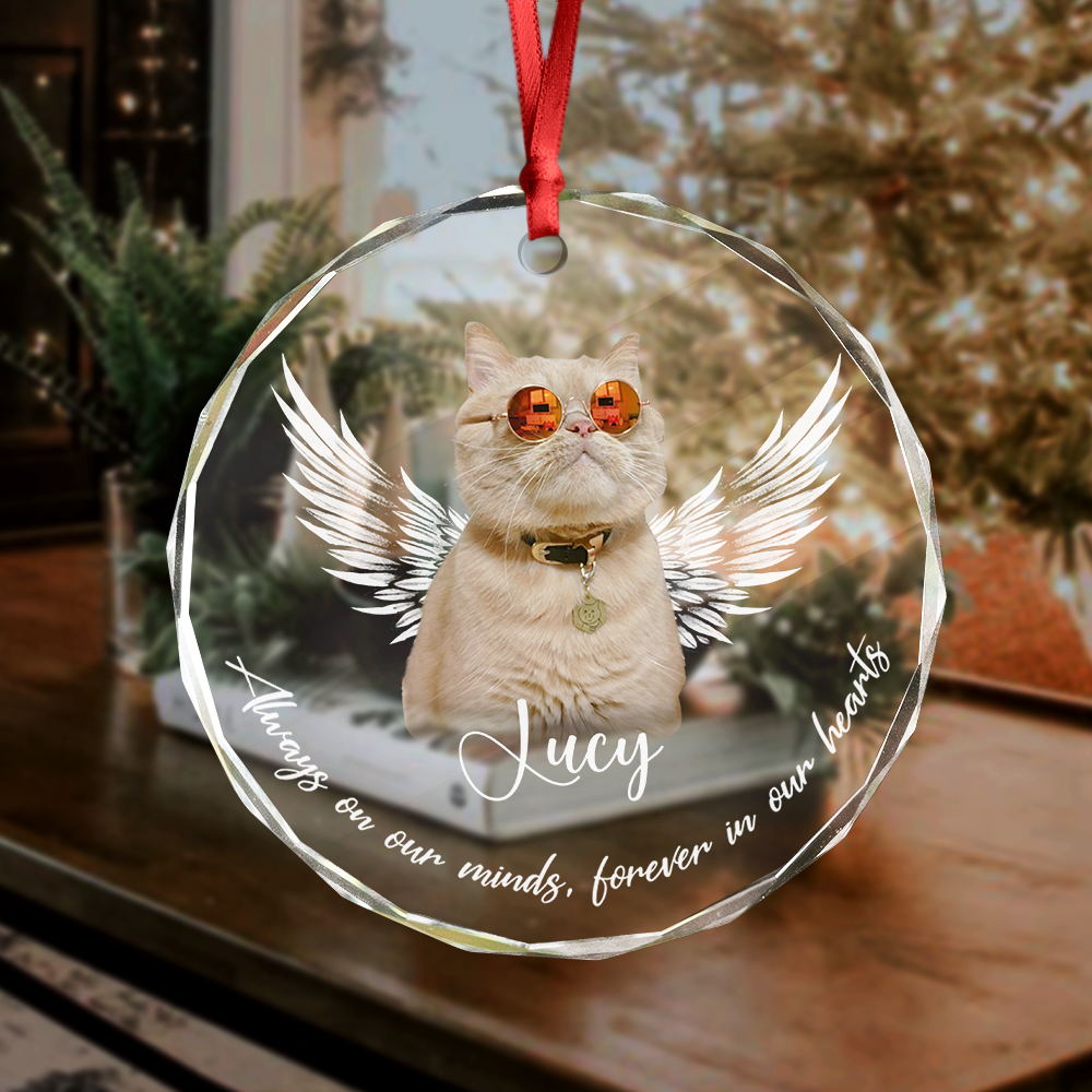 Custom Photo Not A Day Goes By Memorial Cat Glass Ornament HA75 897252