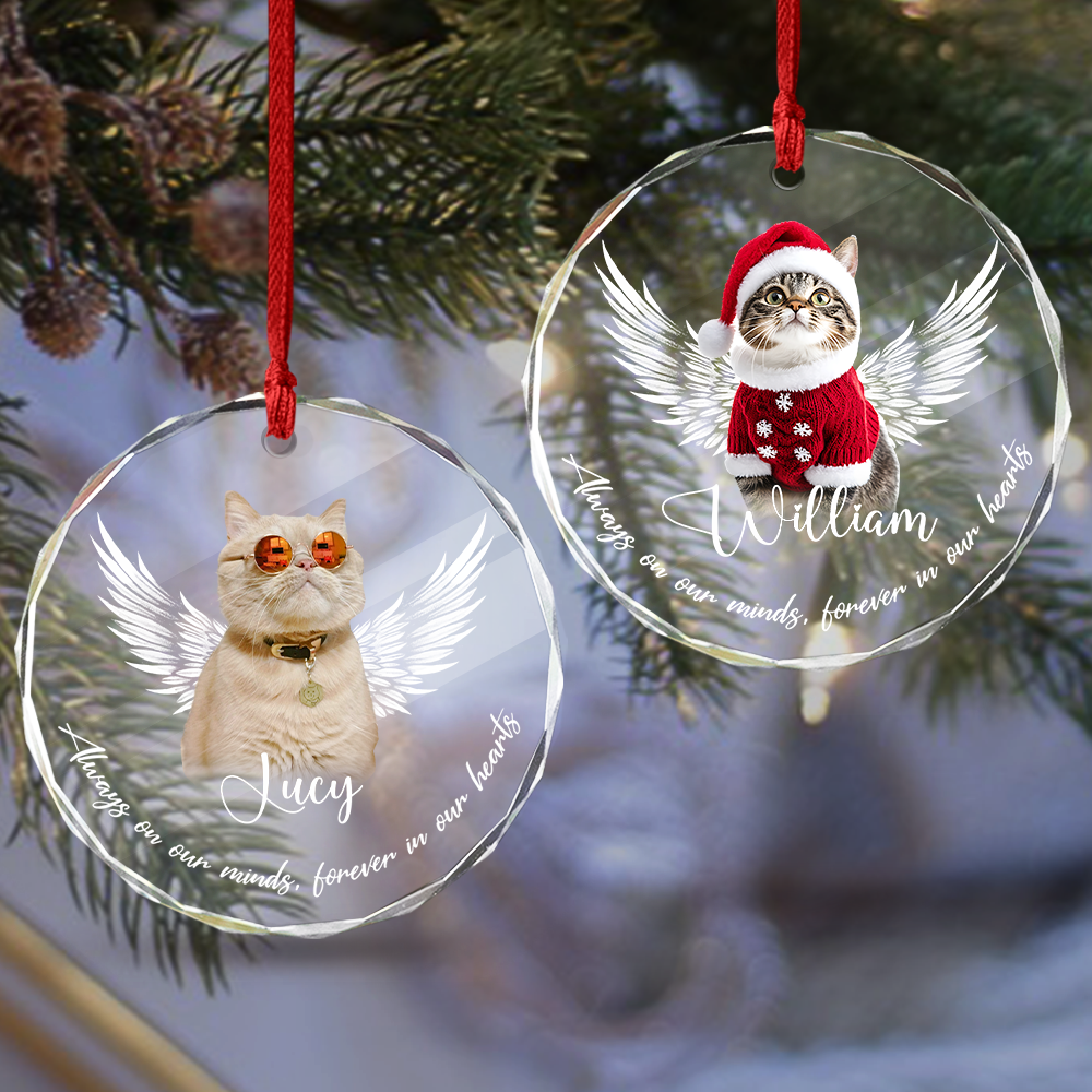 Custom Photo Not A Day Goes By Memorial Cat Glass Ornament HA75 897252