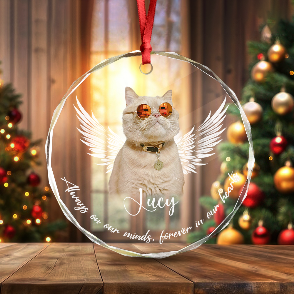 Custom Photo Not A Day Goes By Memorial Cat Glass Ornament HA75 897252