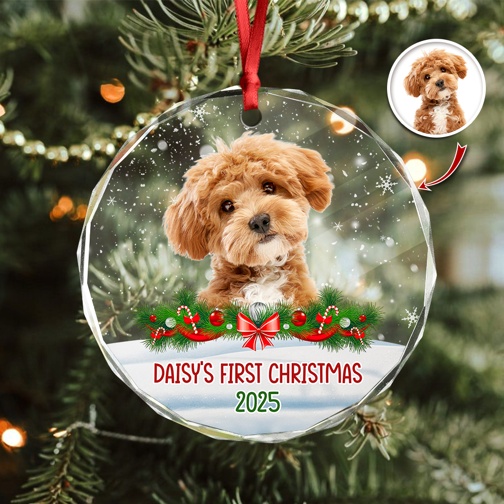 Custom Photo Dog First Christmas Glass Ornament HA75 897258