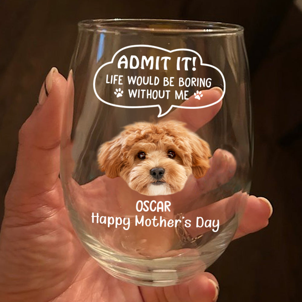 Custom Photo Admit it! Life Would Be Boring Without Me Dog Cat Wine Glass HA75 892250