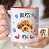 Custom Dog Cat Photo Name Flag American Accent Mug LM32 899127