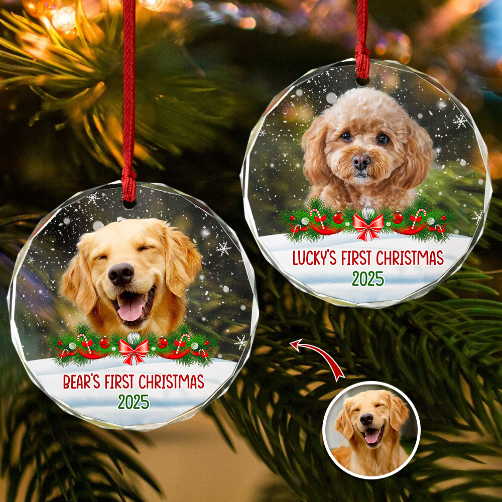 Custom Photo Dog First Christmas Glass Ornament HA75 897258