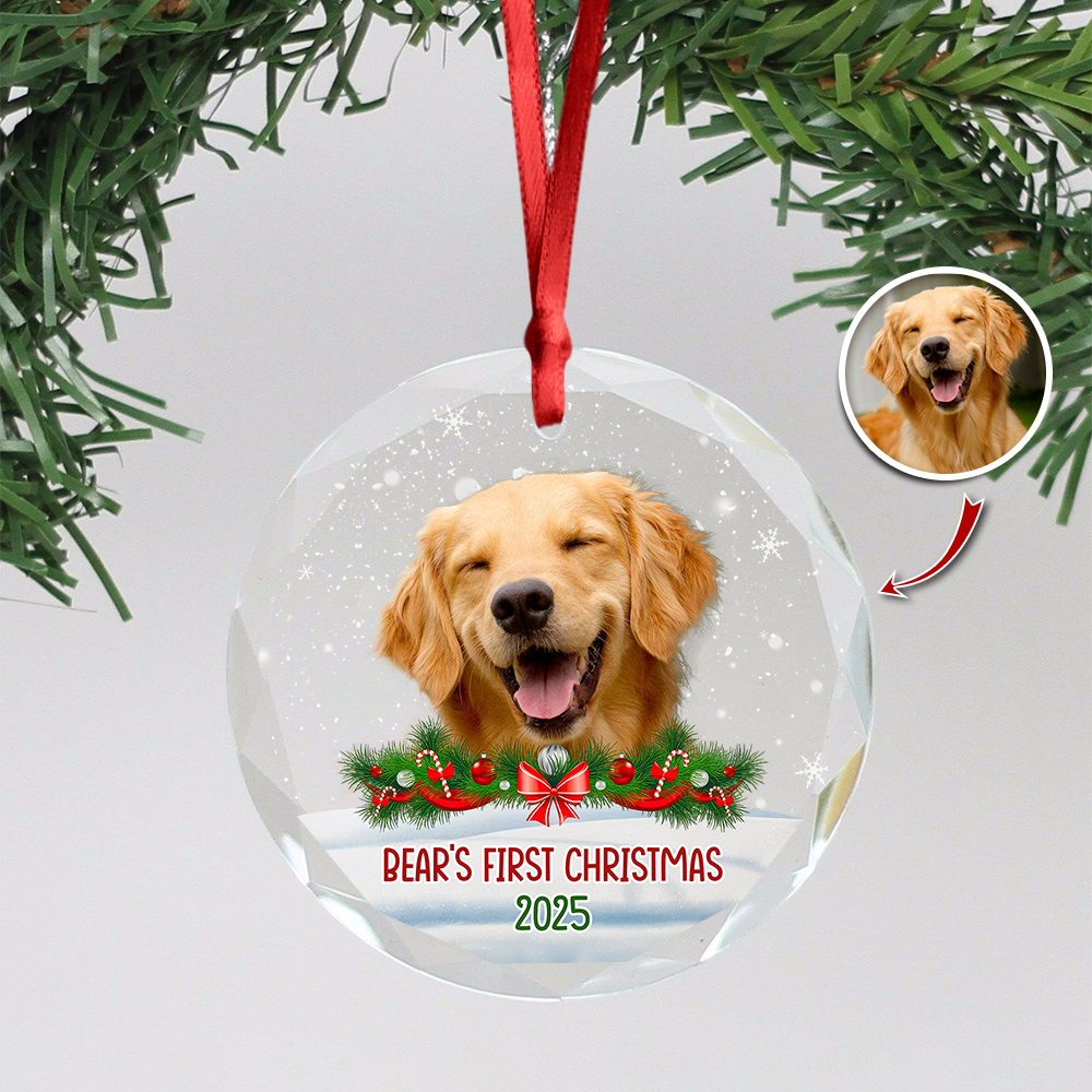 Custom Photo Dog First Christmas Glass Ornament HA75 897258
