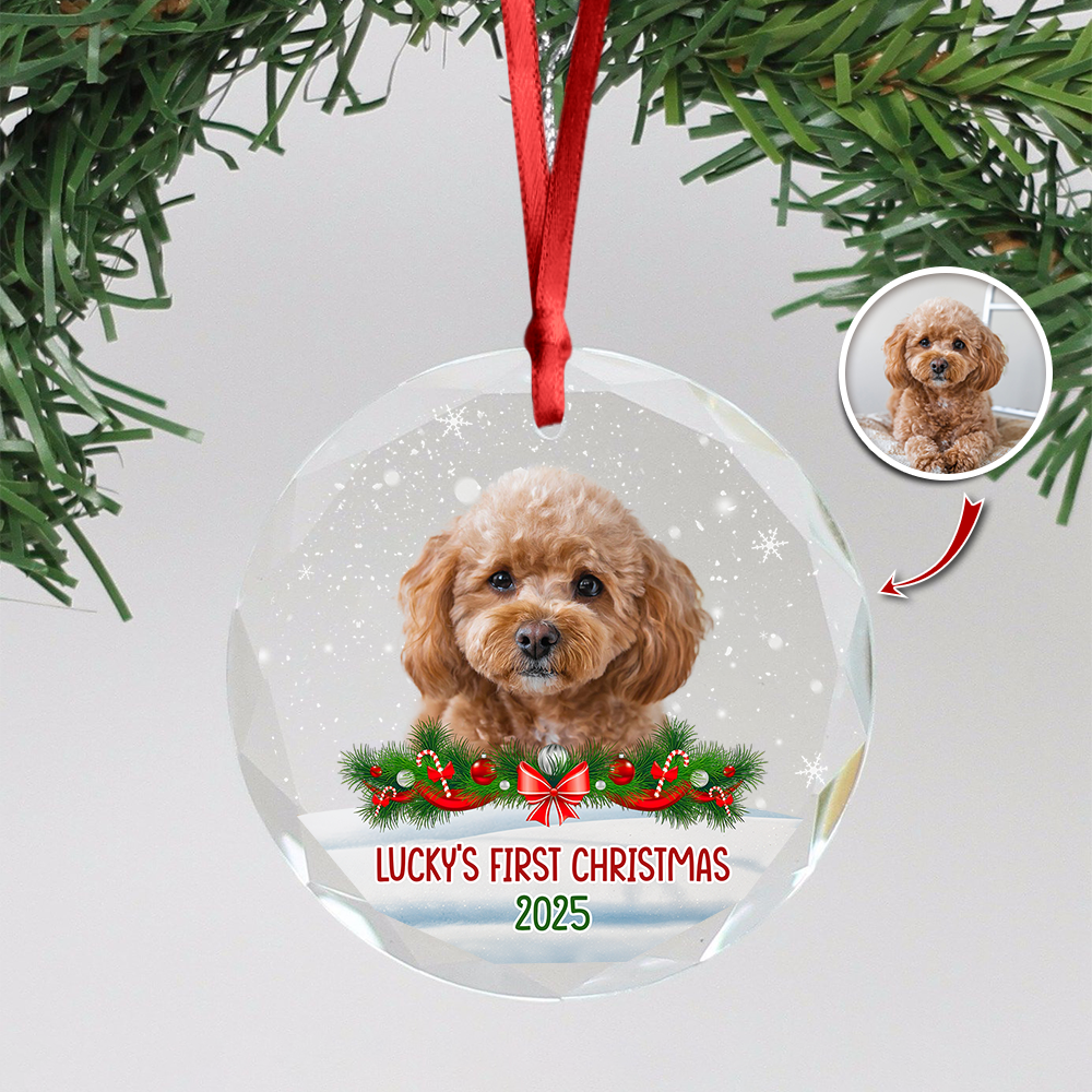 Custom Photo Dog First Christmas Glass Ornament HA75 897258