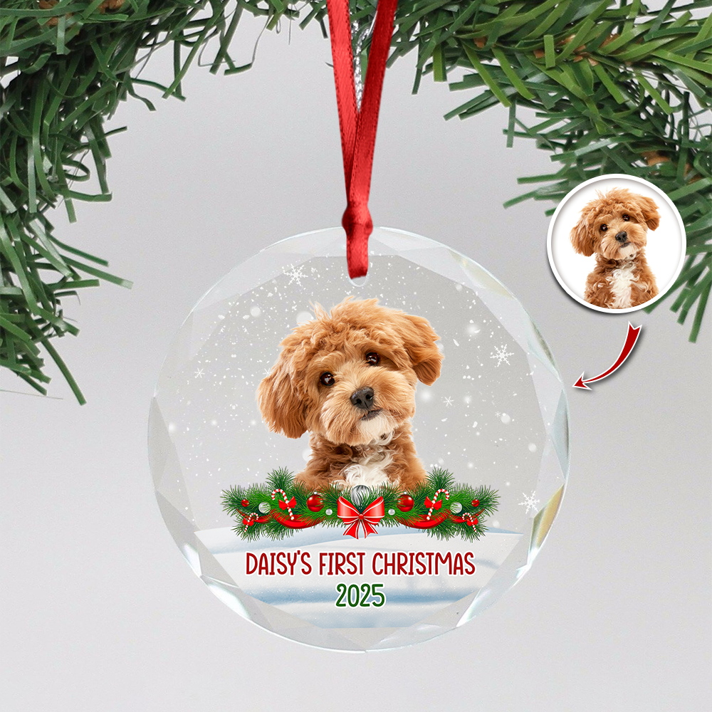 Custom Photo Dog First Christmas Glass Ornament HA75 897258