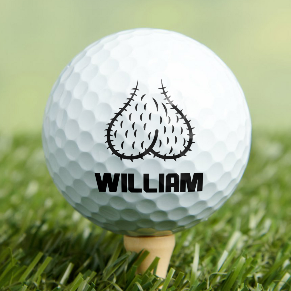 Custom Name Sack Ball Personalized Golf Ball Funny Gifts for Men CH07 899750