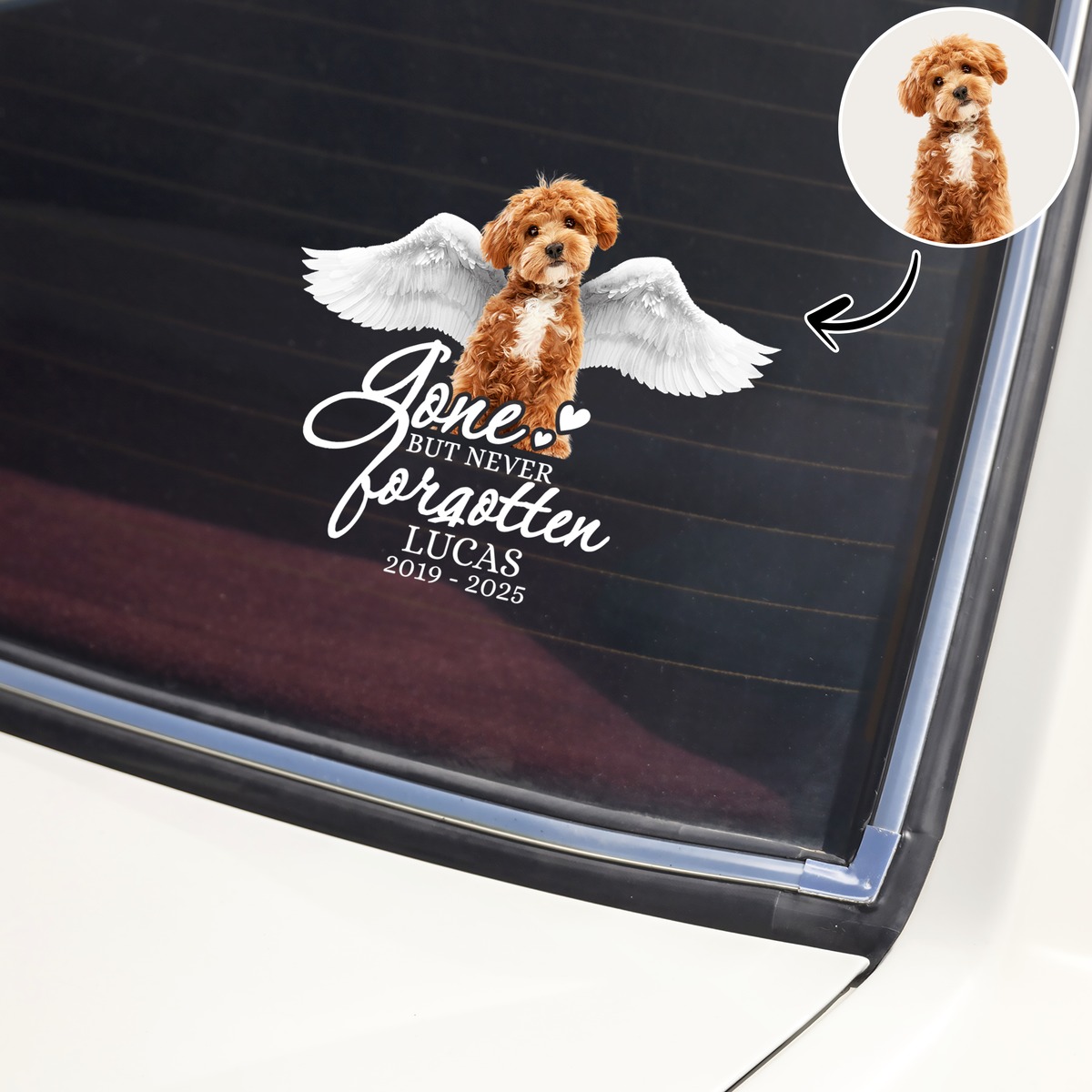 Custom Photo Pet Within Angel Wings Memorial Dog Cat  Car Window Decal Sticker HO82 901068