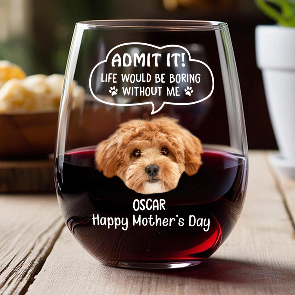 Custom Photo Admit it! Life Would Be Boring Without Me Dog Cat Wine Glass HA75 892250