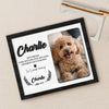 Custom Pet Photo Wooden Memorial Plaque, Gift For Dog And Cat Lovers HO82 894320