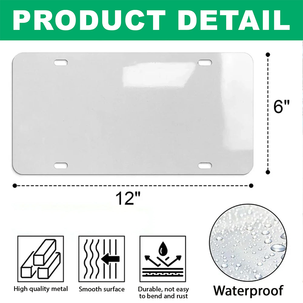 Patriotic 250th America 1776-2026 Eagle License Plate HA75 921194