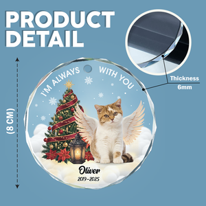 Custom Photo I Am Always With You Memorial Cat Glass Ornament HA75 897266
