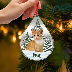 Custom Dog Cat Photo Christmas Acrylic Ornament TH10 896113