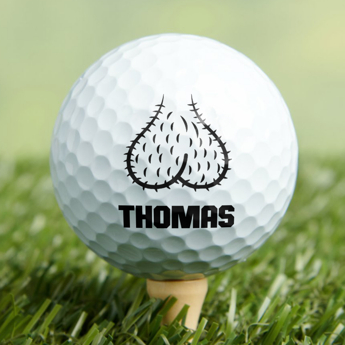Custom Name Sack Ball Personalized Golf Ball Funny Gifts for Men CH07 899750
