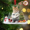 Custom Photo Cat Christmas Acrylic Ornament For Christmas HA75 897608