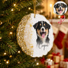 Custom Dog Photo Resin Ornament, Personalized Pet Keepsake, Christmas Gift for Dog Lovers CH07 180562