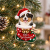 Personalized Pet First Christmas Acrylic Ornament, Holiday Keepsake for Pet Lovers LM32 670017
