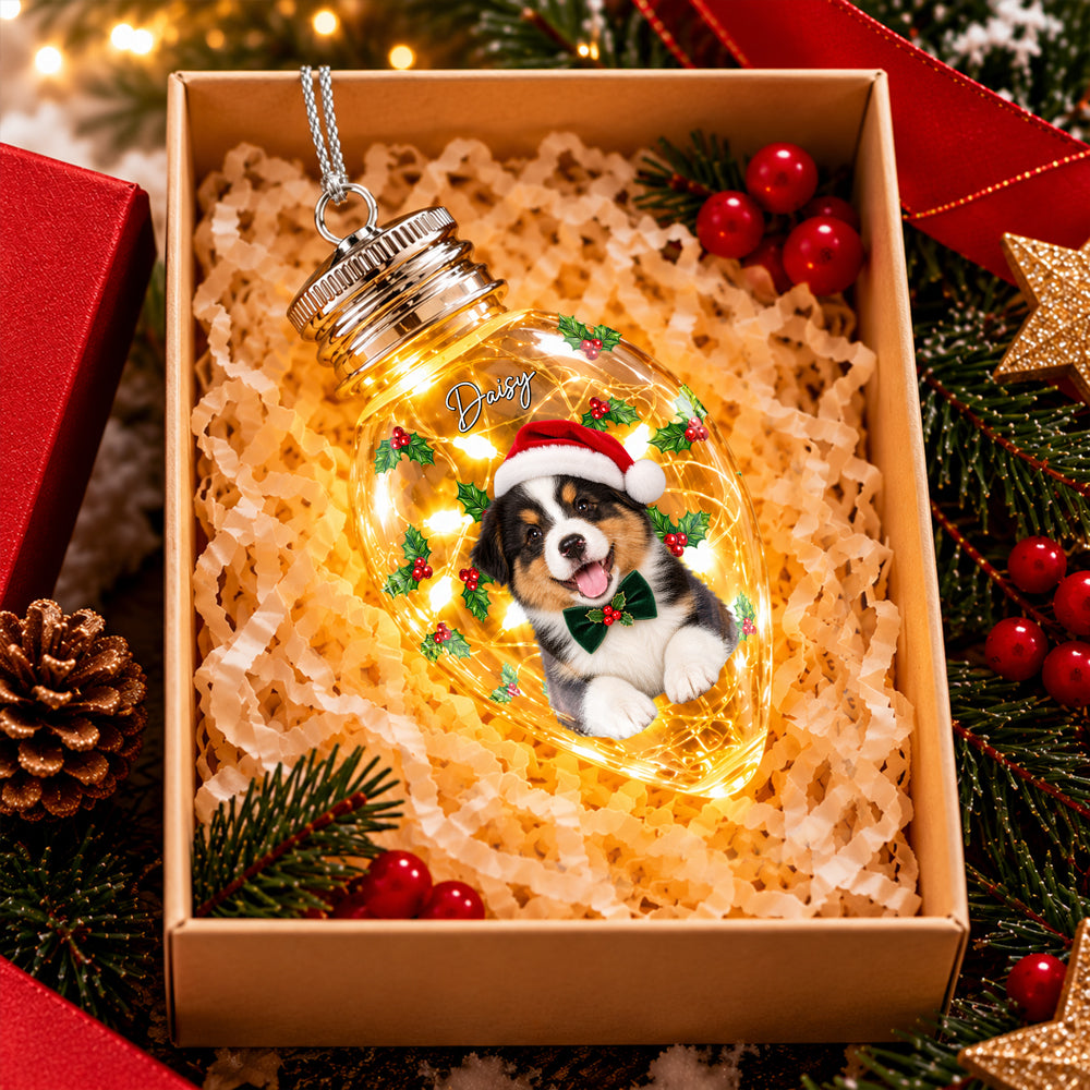 Custom Photo & Name Pet Dog Portrait With Holly Snowflake Poinsettia Chili Bulb LED Light HO82 904080