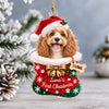 Personalized Pet First Christmas Acrylic Ornament, Holiday Keepsake for Pet Lovers LM32 670017