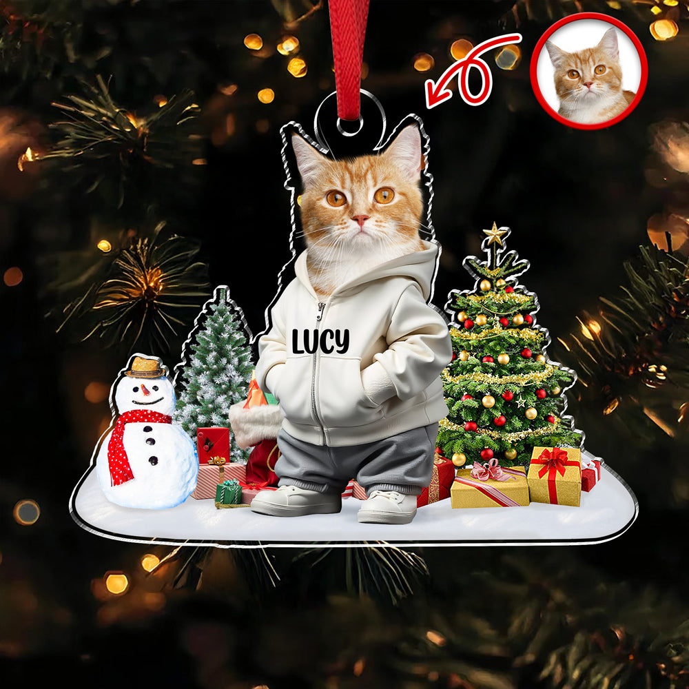 Custom Photo Cat Christmas Acrylic Ornament For Christmas HA75 897608