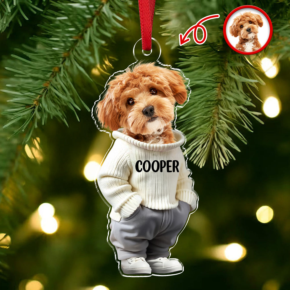 Custom Photo Cool Dog Cat Acrylic Ornament Gift For Dog Cat Lovers HA75 897146