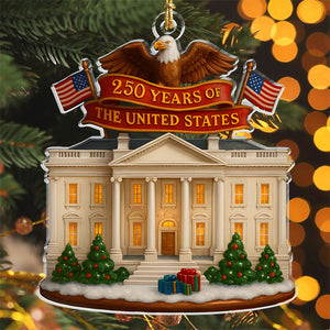 250 Years Of The US Acrylic Ornament TH10 894945