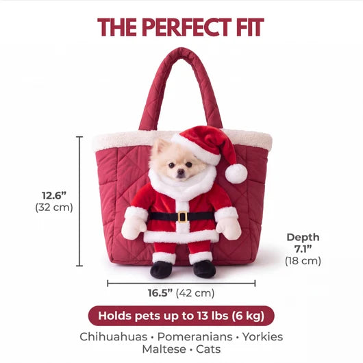 Santa Pet Carrier for Small Dogs and Cats HO82 903774