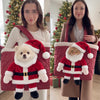 Santa Pet Carrier for Small Dogs and Cats HO82 903774