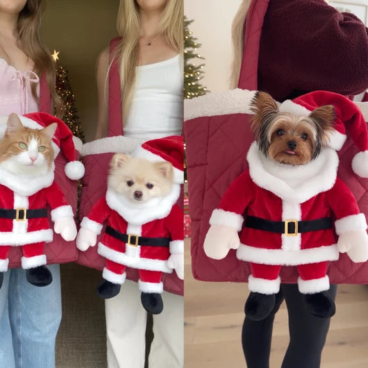 Santa Pet Carrier for Small Dogs and Cats HO82 903774