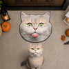 Custom Funny Face Dog Cat Doormat Custom Shape CH07 180204