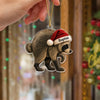 Jimothy Raccoon Acrylic Ornament, Viral Seattle Raccoon Christmas Decor Gift CH07 180236