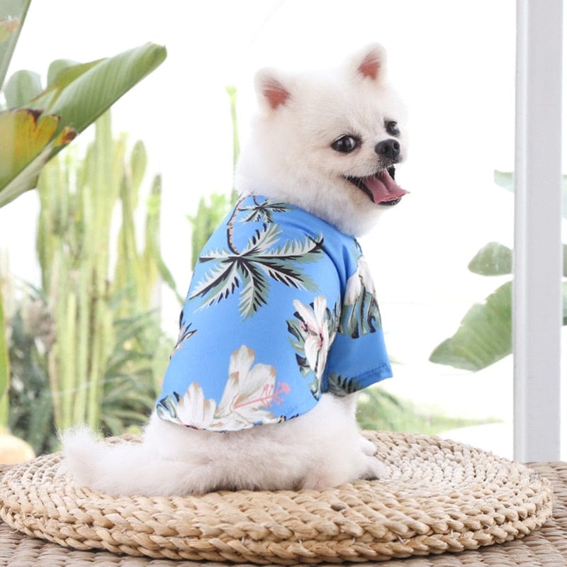 GeckoCustom הוואי חוף סגנון כלב חולצות דק לנשימה קיץ כלב לכלבים קטנים כלבלב מחמד חתול אפוד צ 'יוואווה יורקשייר טרייר פודל