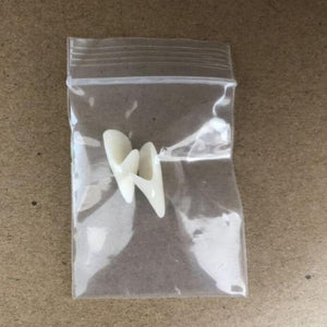 GeckoCustom 1 Pair Vampire Teeth Fangs Dentures Props Halloween Costume Props False Teeth Solid Glue Denture Adhesive Halloween Party Decor White 1.9cm